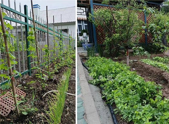 工程師變身“農(nóng)莊主”，又引進(jìn)白酒烤酒設(shè)備，為農(nóng)莊增添新特色7