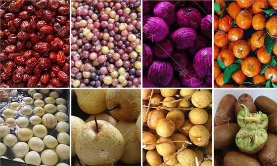 各種水果原料