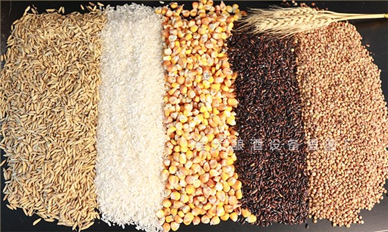 原料選擇新鮮飽滿、無雜質、無蟲蛀、無霉變