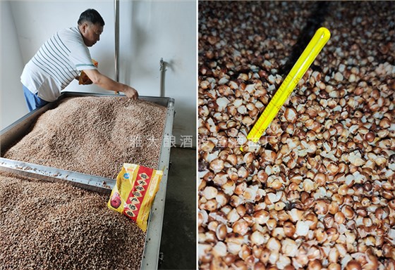 當(dāng)前溫度適合發(fā)酵，出酒率高