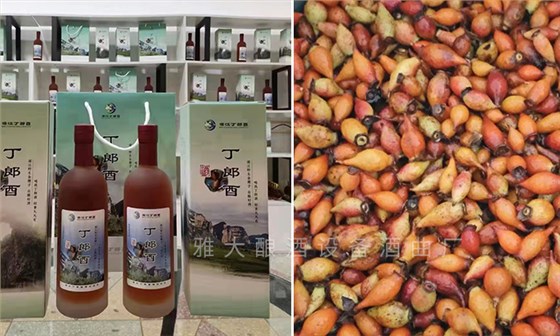 雅大客戶做的金櫻子酒