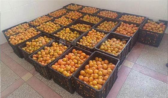 除當(dāng)?shù)厝撕鹊母叨染仆?，他還多元化經(jīng)營水果酒