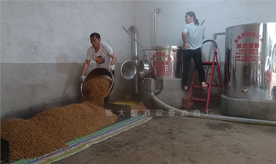 2025蛇年春節(jié)，是繼續(xù)打工還是釀酒創(chuàng)業(yè)自己當(dāng)老板？ 3