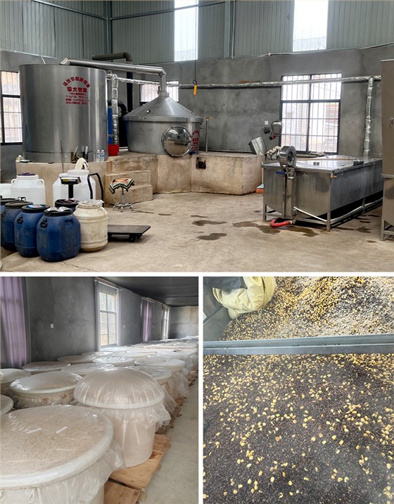 四兄弟返鄉(xiāng)干大事！一套智能設(shè)備帶火老酒坊，帶富一個(gè)村 4