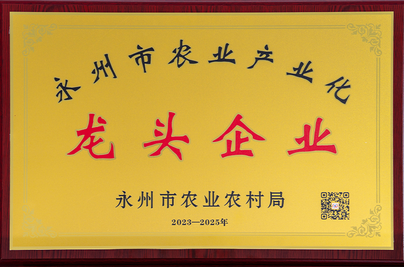 龍頭企業(yè)2023-2025