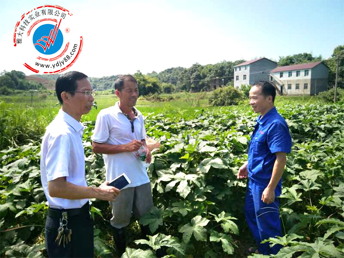 雅大科技胡順開(kāi)與農(nóng)戶(hù)描繪特色酒市場(chǎng)前景