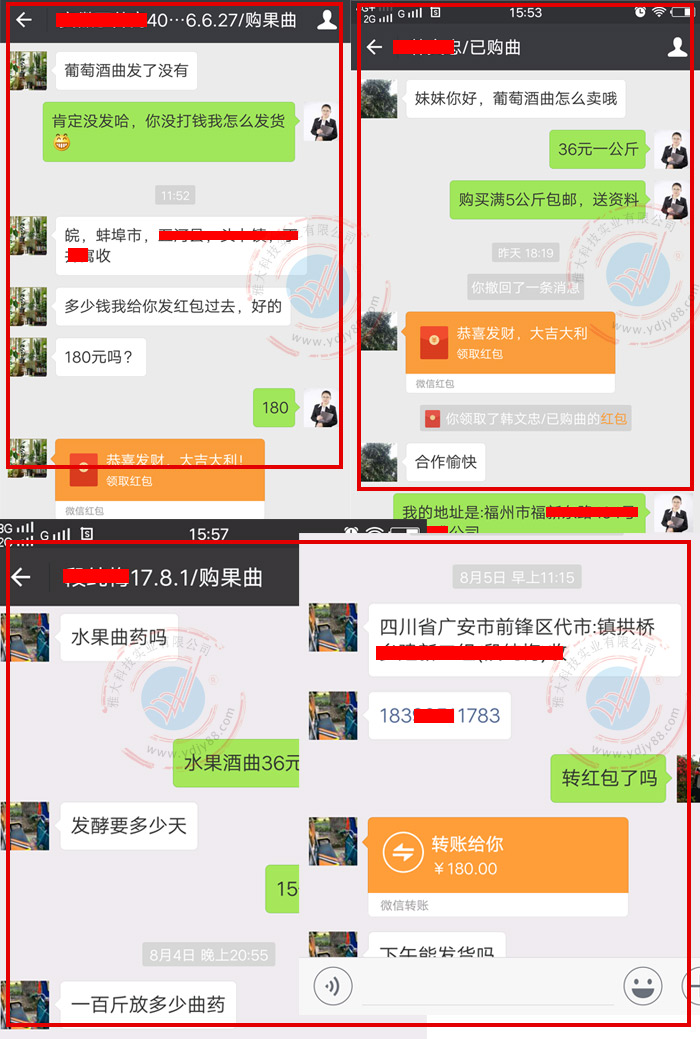 咨詢雅大釀酒設(shè)備美女娟子葡萄酒曲價格