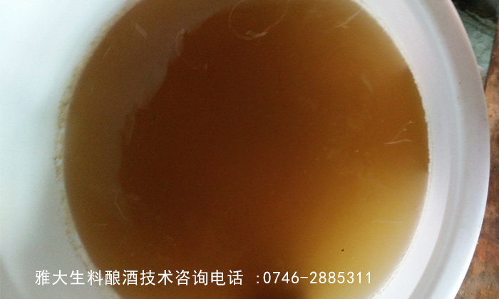 【雅大蒸酒設(shè)備釀酒教學(xué)】玉米生料液態(tài)釀酒技術(shù)