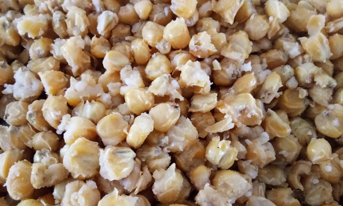 為什么用白酒設(shè)備做固態(tài)玉米酒出酒率低？玉米開花率