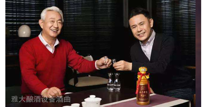 蒸酒設備/啤酒、紅酒和白酒，酒鬼們更喜歡喝哪一種？