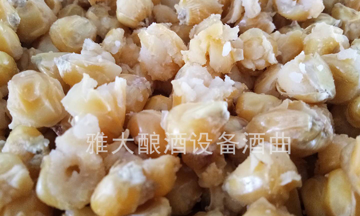 用雅大燒酒設(shè)備蒸糧，加燜水應(yīng)該從甑底加還是上面加？