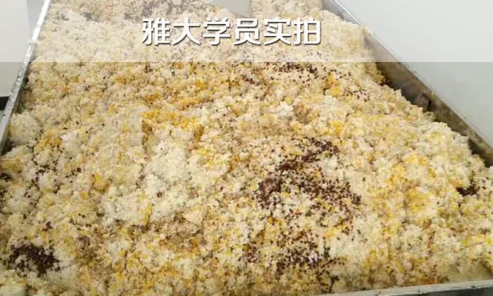 白酒設(shè)備/如果五糧液配方，糧食粉碎，如何蒸煮？