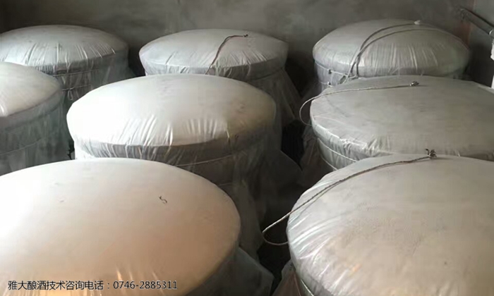 守住純糧酒這條線，帥小伙用雅大燒酒設(shè)備釀高粱酒贏未來