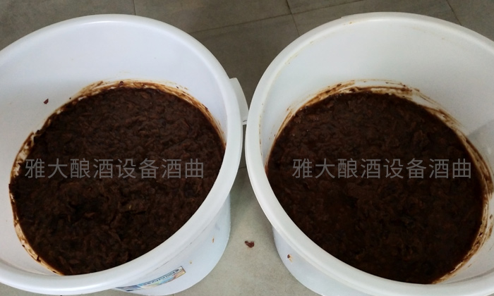 蒸酒設(shè)備——紅棗打漿加水果酒曲發(fā)酵