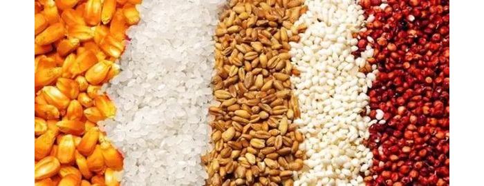 生料白酒生產設備釀酒方法