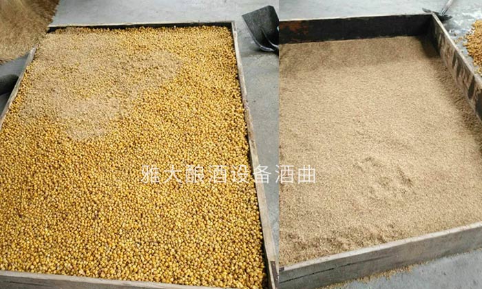 為什么用白酒設(shè)備做固態(tài)玉米酒出酒率低？糖化、發(fā)酵不徹底