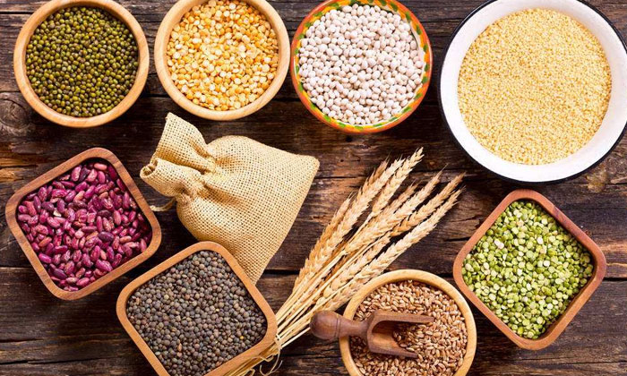 酒苦影響純糧白酒的銷售？雅大釀酒設(shè)備送上解決方案 1