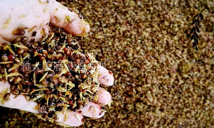 釀白酒設(shè)備做固態(tài)酒，一定要提前對(duì)輔料進(jìn)行處理