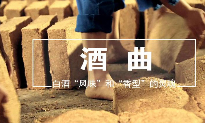 酒曲到底是什么“東東” 可將糧食轉(zhuǎn)化成酒而不是其他物質(zhì)？1