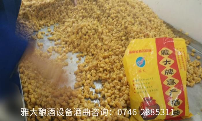 想回家用酒廠釀酒設(shè)備開個小酒坊，多長時間可以回本？02 有電話