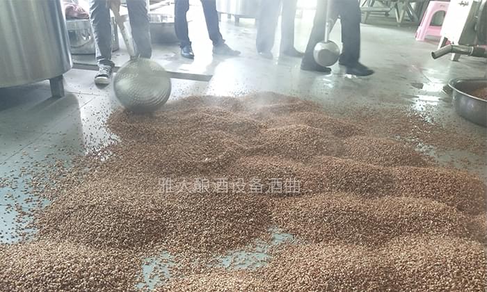 大手筆！雅大電加熱釀酒設(shè)備廠準(zhǔn)備2萬(wàn)斤高粱等您來(lái)實(shí)操釀酒-04