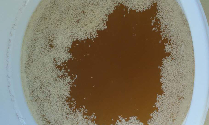 電加熱釀酒設(shè)備做生料酒與熟料酒，在口感上有什么區(qū)別？-04 (2)