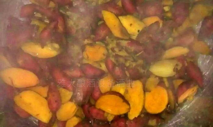 一般的糧食釀酒設(shè)備可以用來做紅薯酒嗎？-01-紅薯釀酒