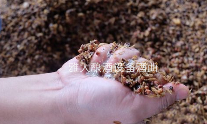 用大型釀酒設(shè)備做固態(tài)酒時，遇到酒酸、酒苦該如何解決？-01
