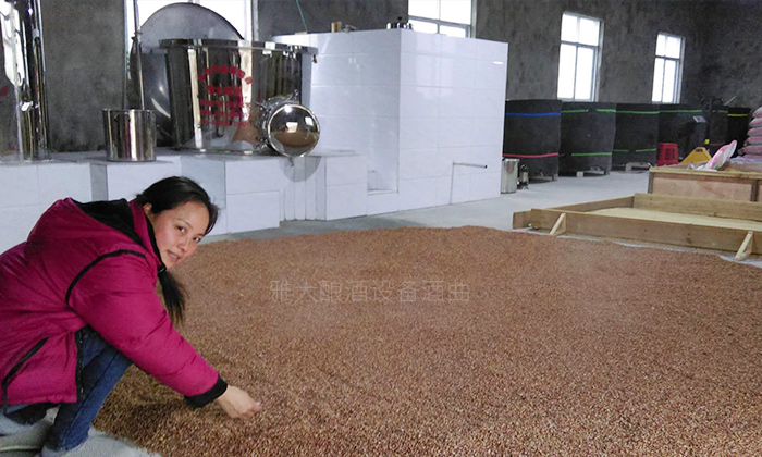 用白酒蒸酒設(shè)備釀酒的女人，一定具備這7大技能！-05