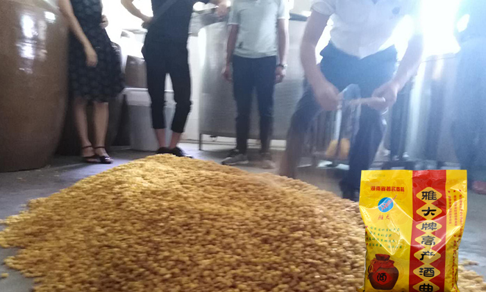 為什么酒醅寶寶怕冷 而經(jīng)不銹鋼釀酒設備蒸餾后在低溫下不結冰-04