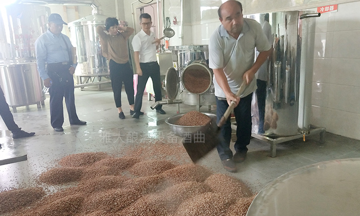 電加熱釀酒設(shè)備做酒，如何利用陳釀?wù){(diào)味酒增加白酒口感？-06-高粱釀酒實(shí)操2