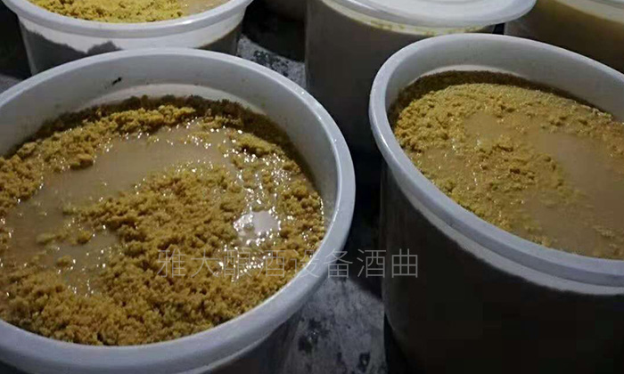 玉米熟料液態(tài)釀酒技術(shù) 玉米熟料液態(tài)釀酒技術(shù)