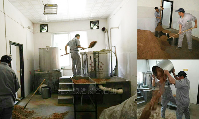 用熟料釀酒設(shè)備釀固態(tài)酒，真能通過黃水的味道判斷發(fā)酵情況？-01