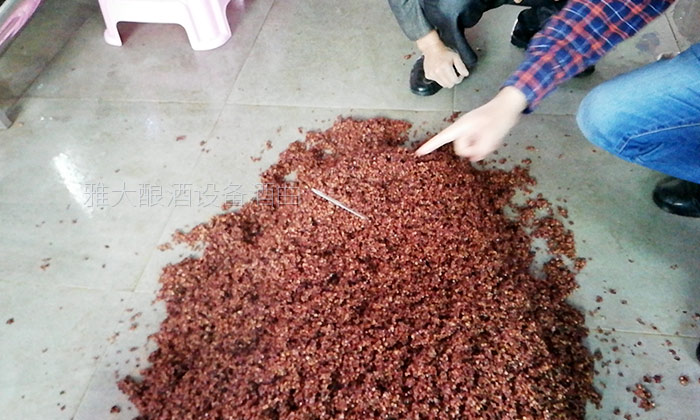 用熟料釀酒設(shè)備釀固態(tài)酒，真能通過黃水的味道判斷發(fā)酵情況？-05-高粱釀酒