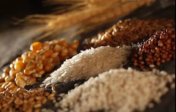 做酒設(shè)備釀造五糧酒的5個(gè)小妖精，到底有什么特有之處？-01