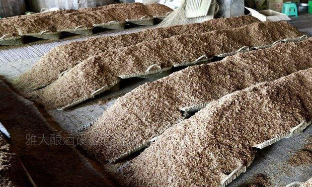 都說酒是糧食釀的，那么現(xiàn)在酒廠的酒糟都去哪里了？