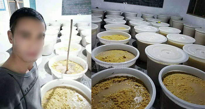 玉米釀酒設(shè)備做的生料玉米酒口感真的有那么差么？-05-玉米生料釀酒