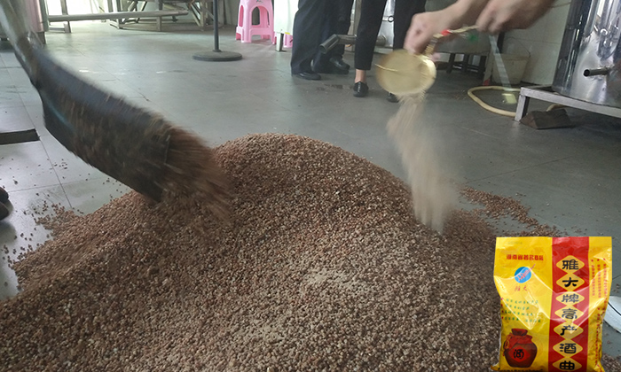 高粱釀酒設(shè)備哪家好？傳統(tǒng)土法高粱釀酒工藝被公開！-05-高粱釀酒下酒曲1