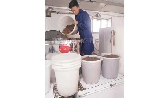 2590后釀酒小白用釀酒蒸餾設(shè)備做酒1年，散酒50元斤，生意火爆！蒸酒2