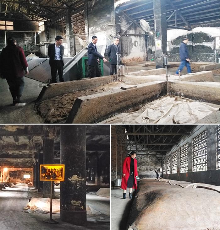 老窖池群發(fā)酵現(xiàn)場(chǎng)