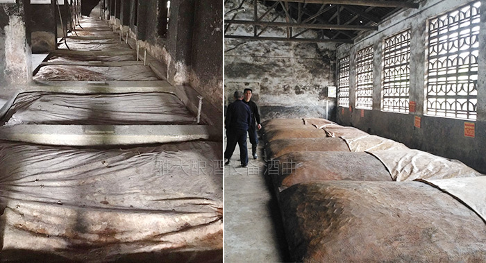 每口窖池都標(biāo)示著發(fā)酵情況