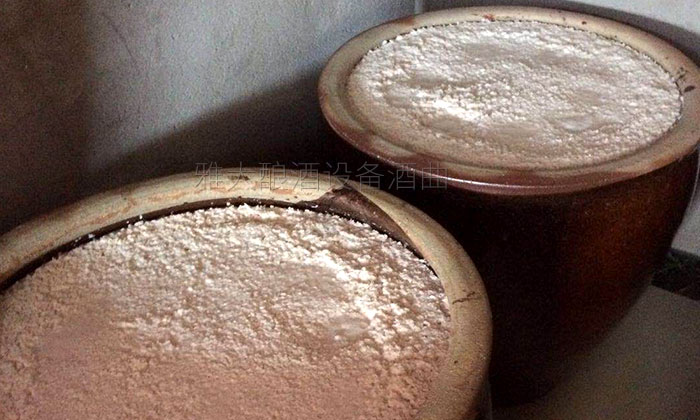 將發(fā)酵酒釀轉缸密封發(fā)酵