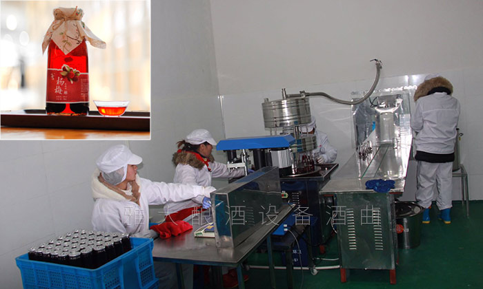 用果酒釀酒設(shè)備將滯銷水果做成酒賣更高價(jià)