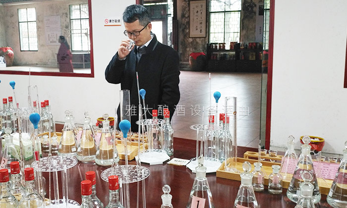 國(guó)家釀酒師品酒3