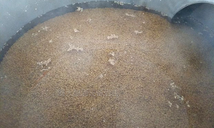 將大麥用60度以上的熱水浸泡6小時(shí)