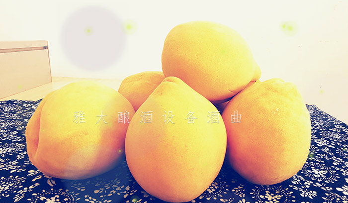 8.24-印江縣黃桃滯銷，冉總引進(jìn)雅大電加熱釀酒設(shè)備靠“釀”帶動(dòng)銷量-9