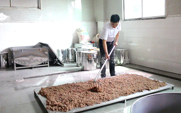 9.12特色酒研發(fā)大米酒我見過但用雅大釀酒設(shè)備釀五色米酒你見過嗎5