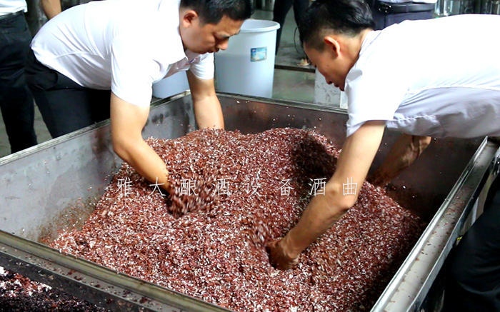 9.12特色酒研發(fā)大米酒我見過但用雅大釀酒設(shè)備釀五色米酒你見過嗎7