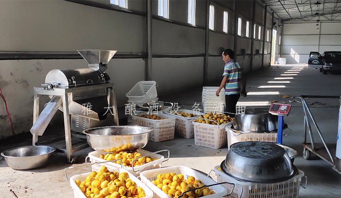 8.24-印江縣黃桃滯銷，冉總引進(jìn)雅大電加熱釀酒設(shè)備靠“釀”帶動銷量-4