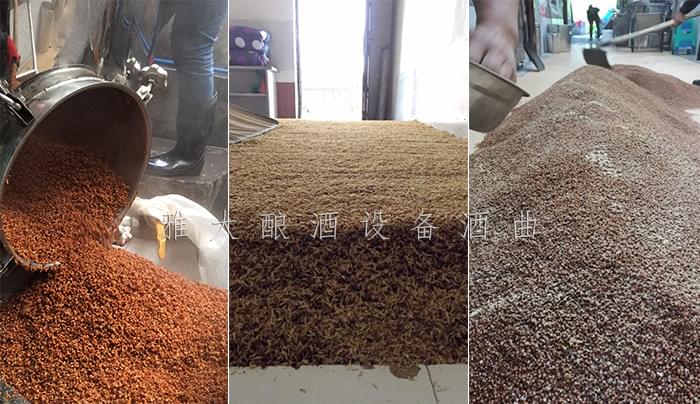 11.24-王姐用小型蒸酒設備開酒坊，酒釀做饅頭，愛情事業(yè)雙豐收高粱釀酒